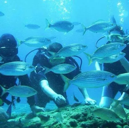 Platoni Elite Apart-hotel 4*