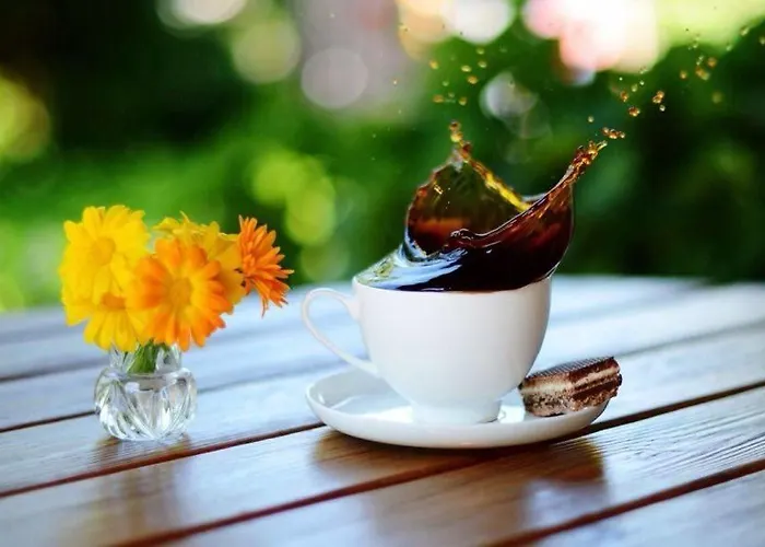 Platoni Elite شقة فندقية 4*